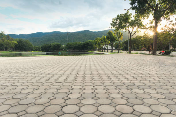 Best Driveway Pavers for Homes  in Cherokee, NC